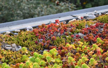 the cost of Staining green roof installation