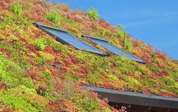 Staining living roof systems